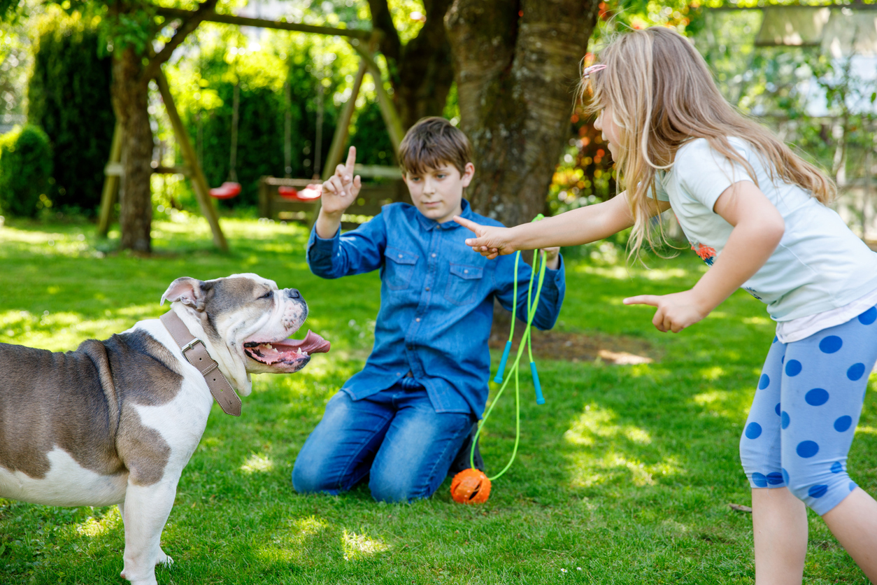 Children are More At-Risk for Dog Bites than Adults